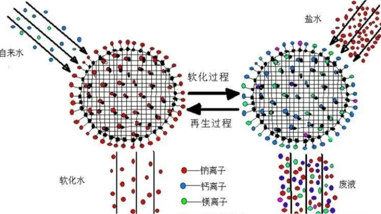 <span style='color:#000000'>软水盐为什么可以软化水质？</span>